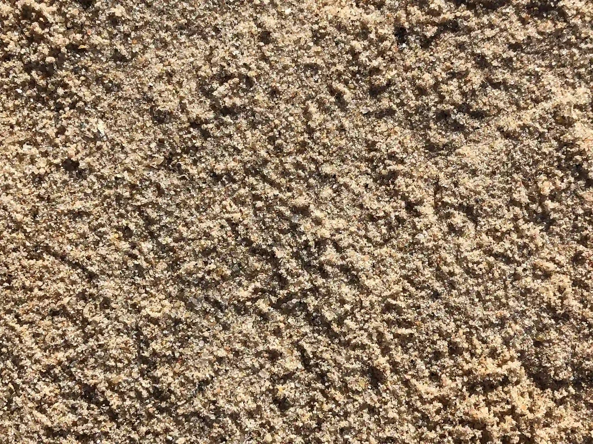 A close-up view of Bells Savoy topdressing sand.