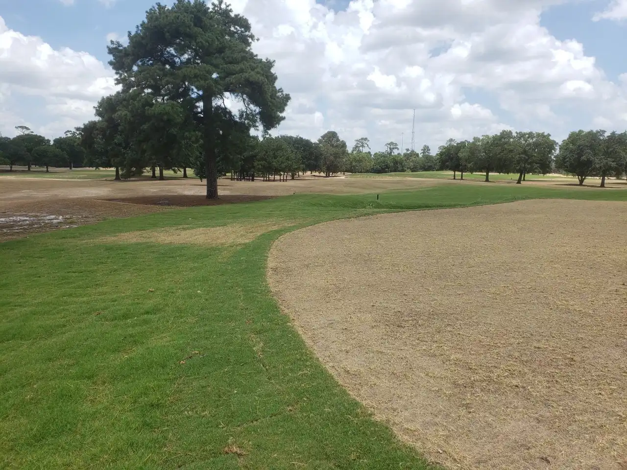 A view of the green at Memorial Park golf course.