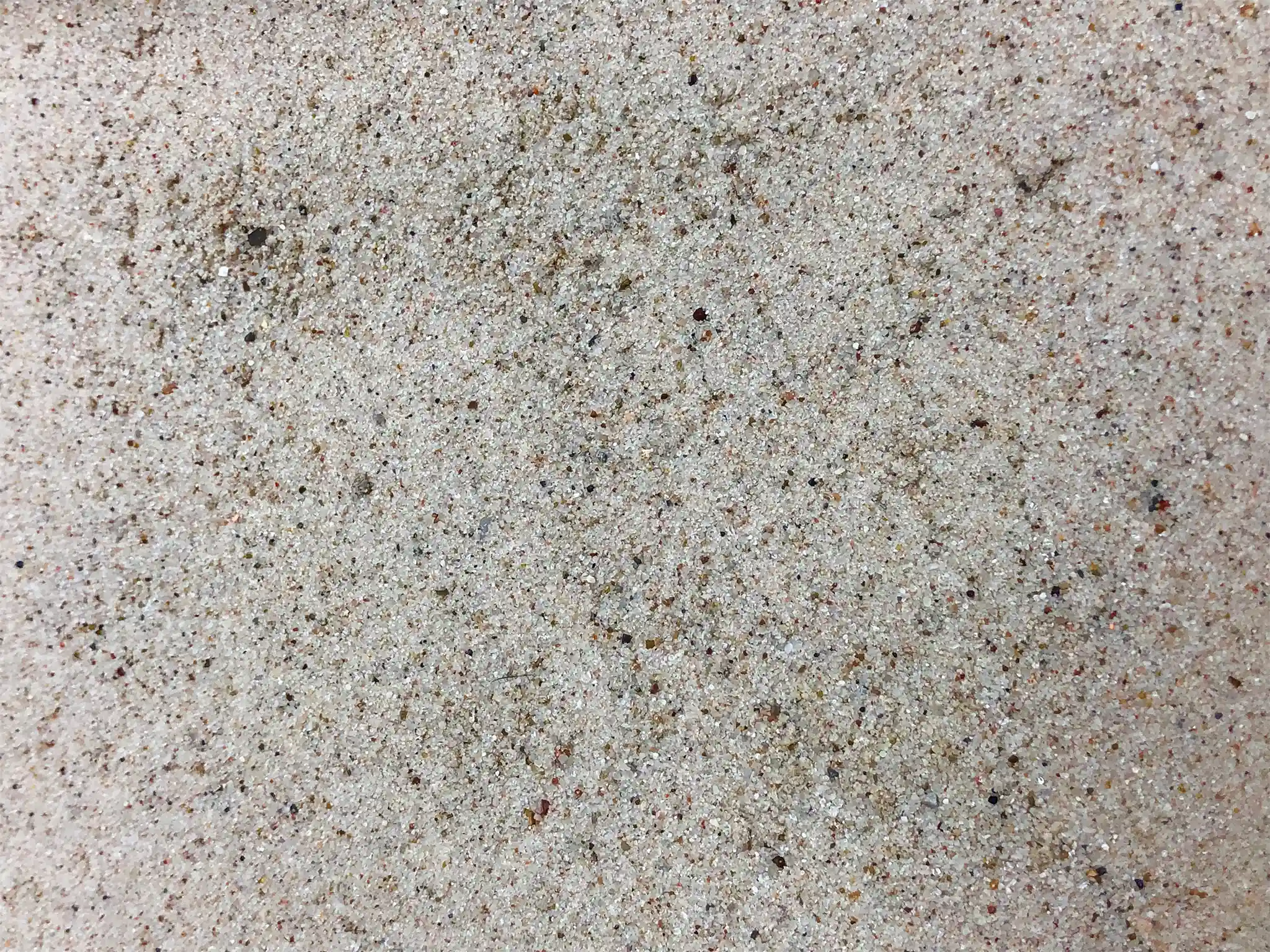 A close-up view of Pro Choice™ White Sand.