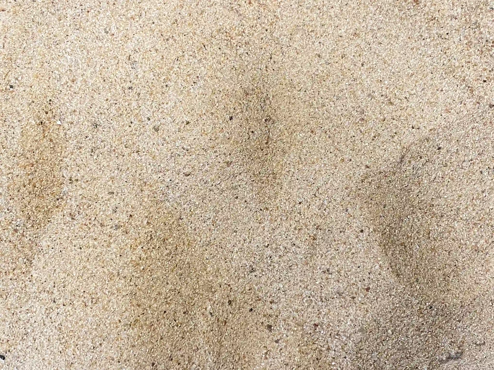 A close-up view of Fairway Sand, Capping Sand, and Golf Sand.