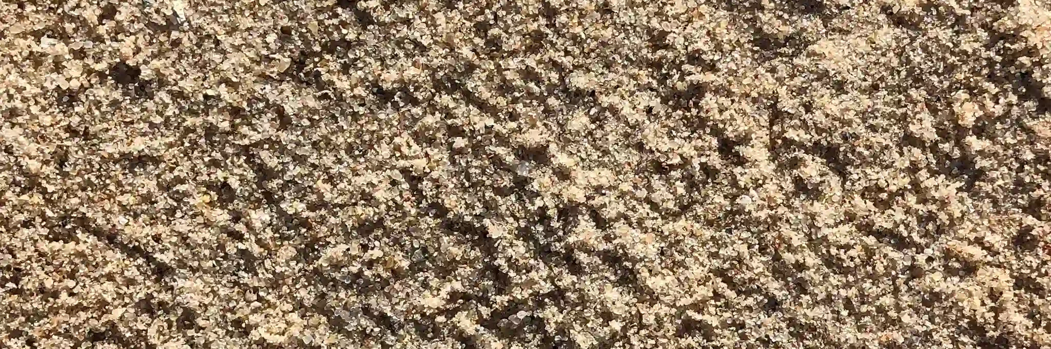 A close-up view of Bells Savoy topdressing sand.