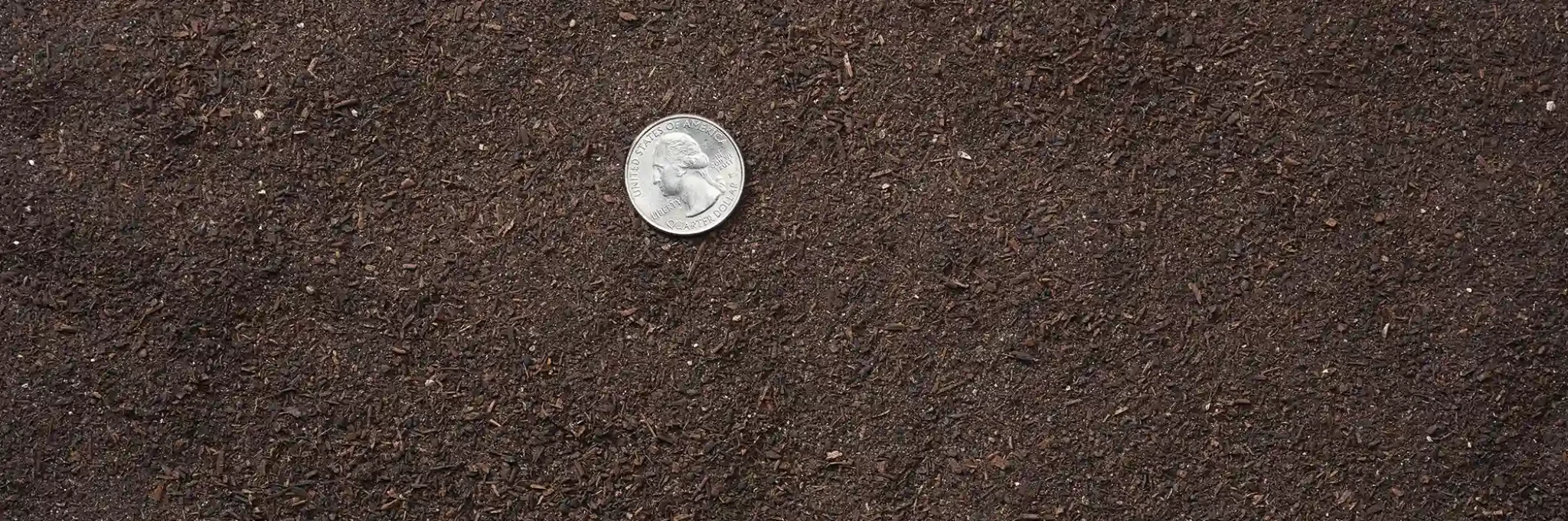 A close-up view of COMAND Greens-Grade Microbial Turfbuilder showing a U.S. quarter for scale.