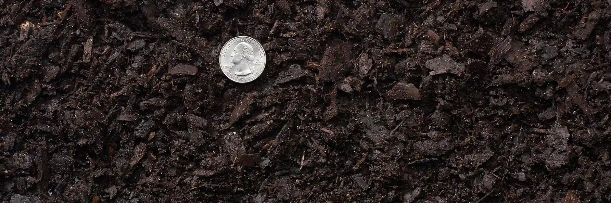A close-up view of COMAND Scape Professional-Grade Planting Soil showing a U.S. quarter for scale.