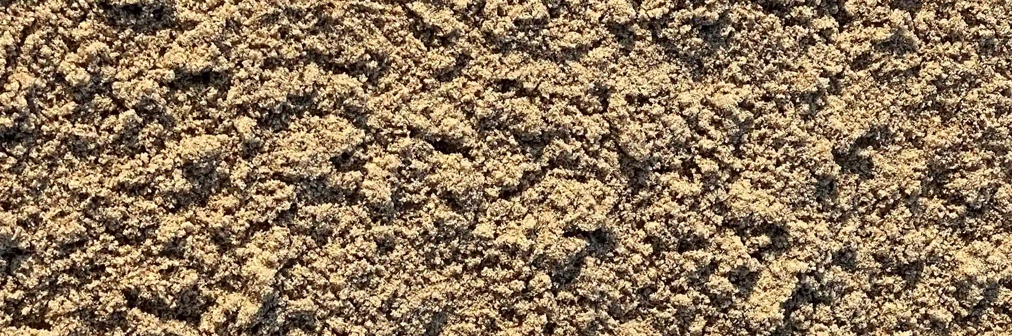 A close-up view of greensmix blend sand.
